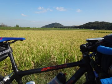 田原