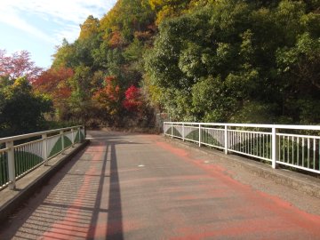 自転車道