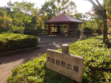 野鳥観察広場