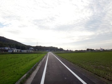 田園地帯を走る