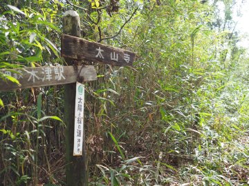 太陽と緑の道の案内