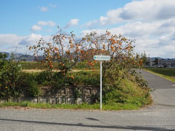 神出山田自転車道