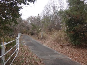 自転車道