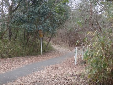 自転車道