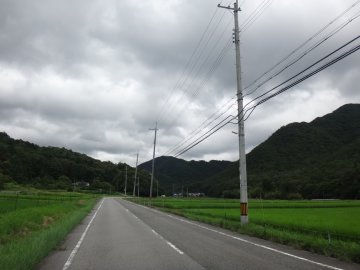 県道308号線