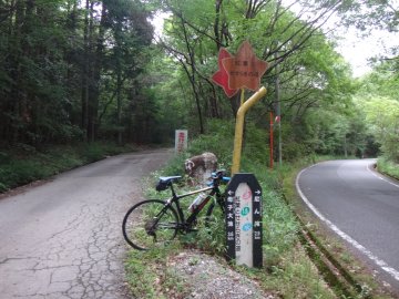 紅葉とせせらぎの道へ分岐