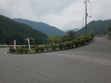 中坪