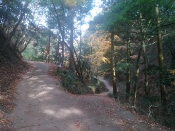 長坂山道分岐