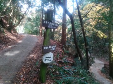 まりの山看板