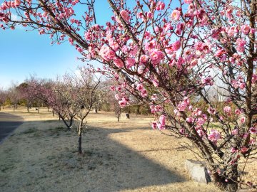 三木防災公園