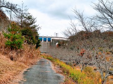 大川瀬ダム