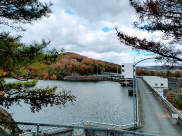 大川瀬ダム（上から）