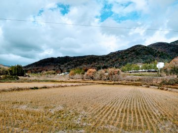 今田町