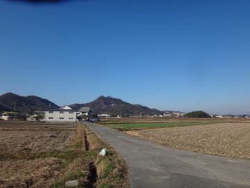 田圃