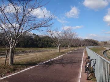 万願寺川堤防