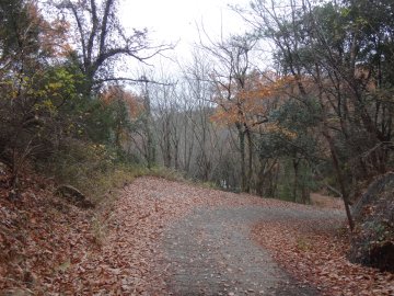 古法華自然公園激坂