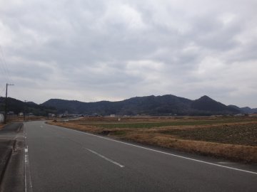 県道206号線