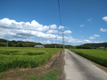 三木　細川中