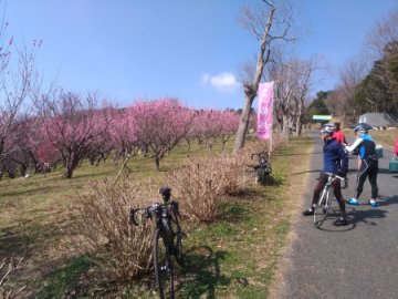 雌岡山