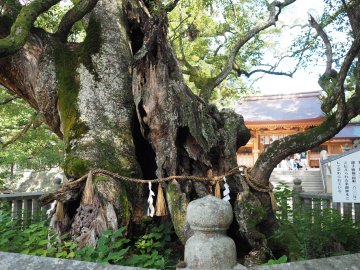 大山祇神社